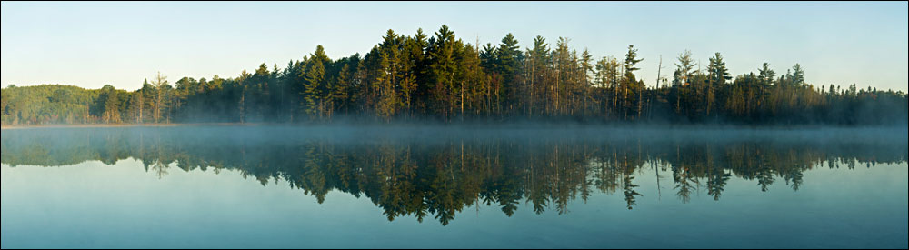 FSC Certified Western Red Cedar