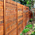 Western Red Cedar Fencing