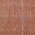 Western Red Cedar Boards & Timbers